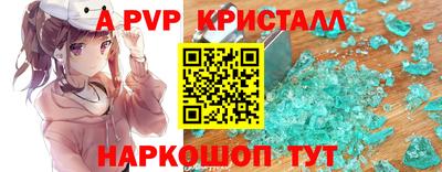 стафф Моздок