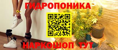стафф Моздок