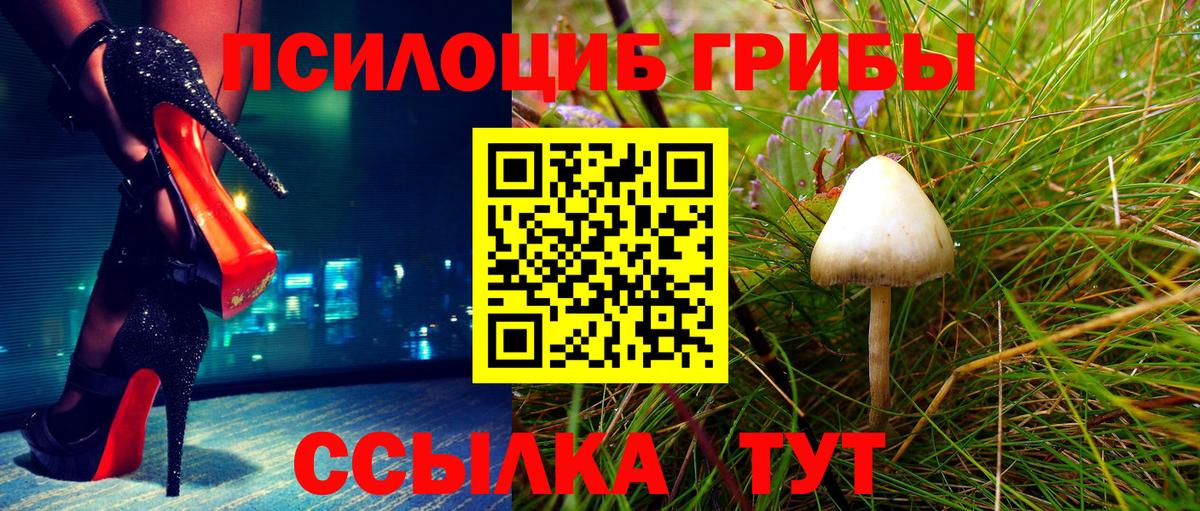 Псилоцибиновые грибы ЛСД Вичуга
