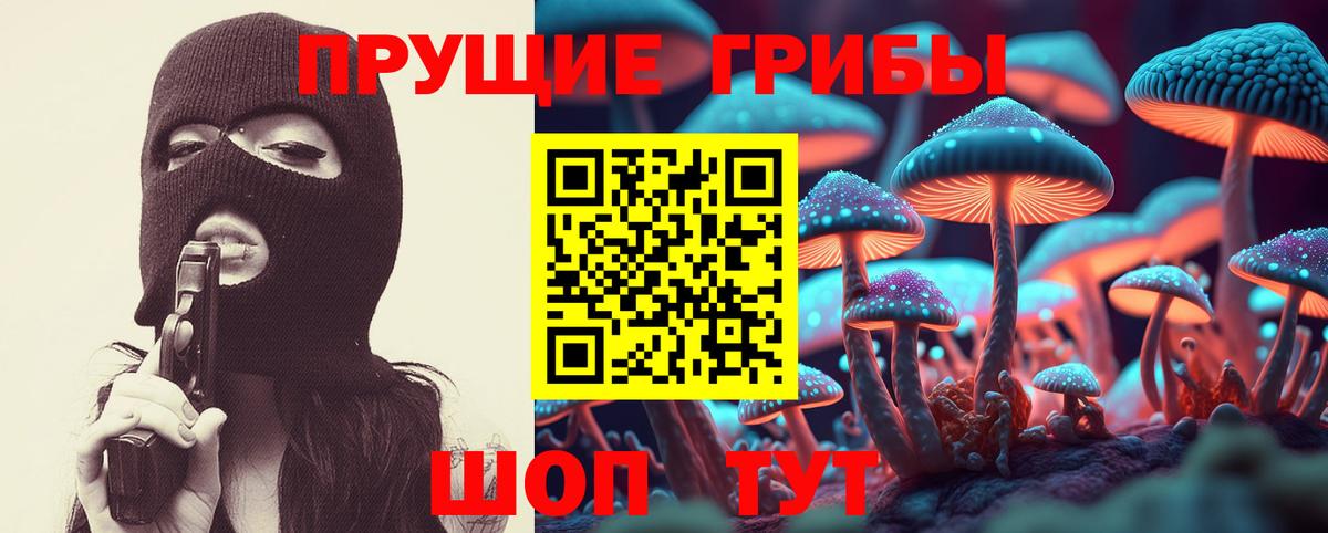 Вичуга  Псилоцибиновые грибы Cubensis  Вход с VPN 