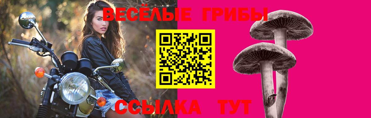 Галлюциногенные грибы мицелий  Вичуга 