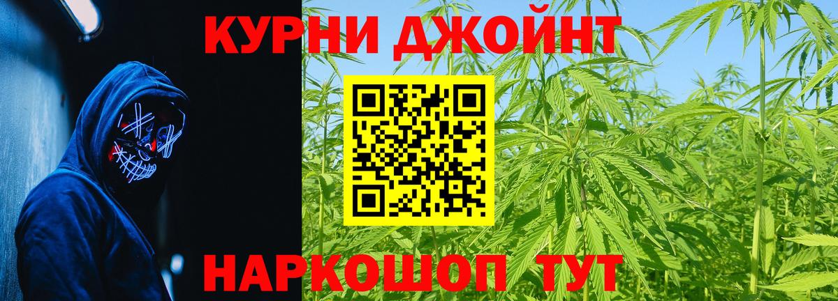 Конопля гибрид Вичуга